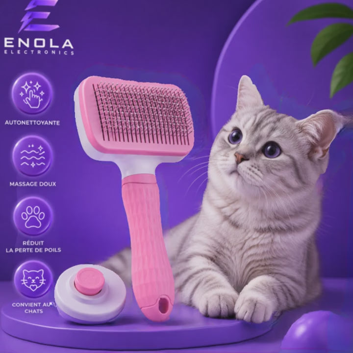 Brosse de Massage & Toilettage pour chats